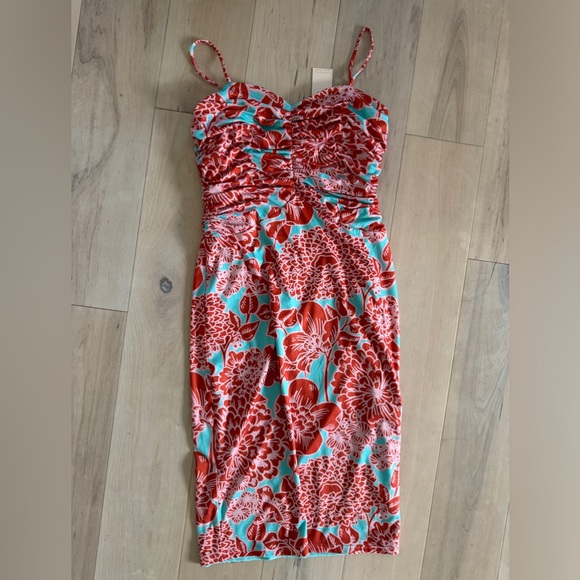 New with tags, HUTCH design brand dress, midi, size small, zipper in back - Picture 1 of 8